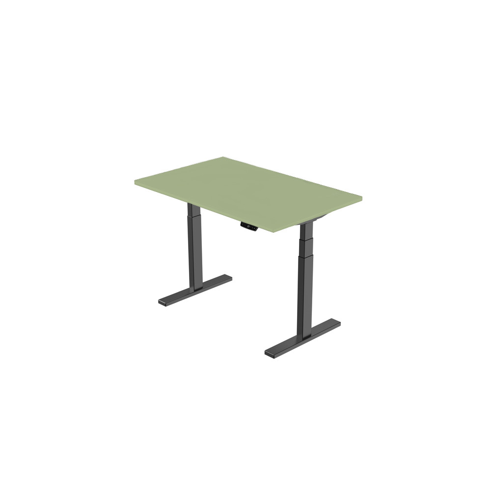 Profesionalus reguliuojamo aukščio stalas su stalviršiu 150cm x 70cm