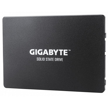 Gigabyte GP-GSTFS31100TNTD 1000 GB, SSD interface SATA, Write speed 500 MB/s, Read speed 550 MB/s
