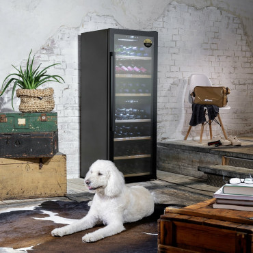 Caso Smart Wine Cooler WineExclusive 126 Energy efficiency class G, Free standing, Bottles capacity 126 bottles, Cooling type Co